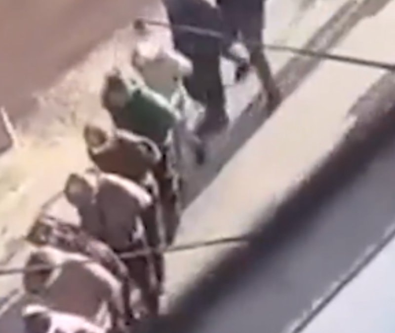 İsrail ordusu, Filistinli gençleri gözaltına aldı