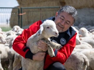 Hayvancılığa destek sürüyor: 150 bin küçükbaş için son gün 30 Nisan
