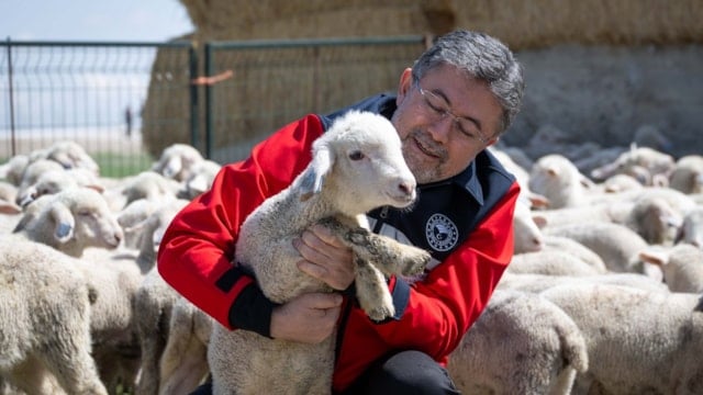 Hayvancılığa destek sürüyor: 150 bin küçükbaş için son gün 30 Nisan