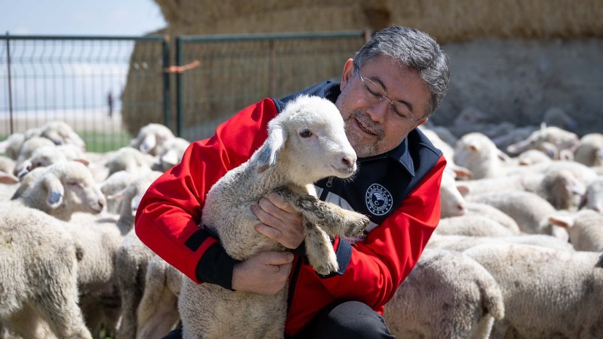 Hayvancılığa destek sürüyor: 150 bin küçükbaş için son gün 30 Nisan