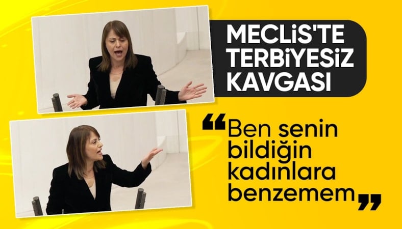 TBMM Genel Kurulu'nda 'terbiyesiz' tartışması