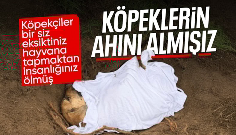 Sözde hayvanseverden okul saldırılarına ilişkin paylaşım: Köpeklerin ahı var