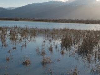 Konya'da Nasreddin Hoca'nın maya çaldığı göl, yıllar sonra canlandı