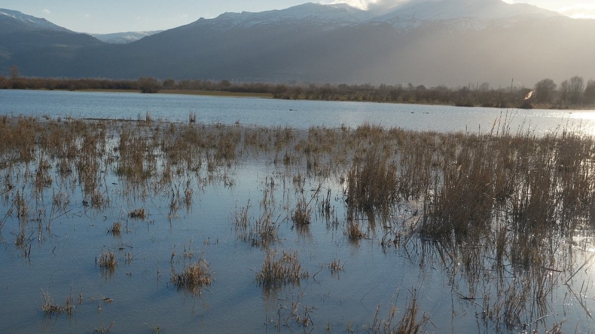 Konya'da Nasreddin Hoca'nın maya çaldığı göl, yıllar sonra canlandı