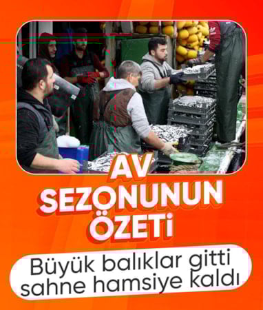 Türkiye'de denizlerde avcılık küçük türlere kaydı