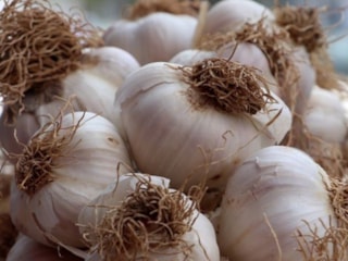Sarımsak saklama taktiği: Bu yöntemle 2 yıl boyunca taze kalıyor