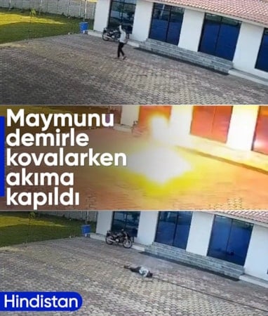 Hindistan’da trajik kaza: Maymunu kovalarken elektrik akımına kapıldı