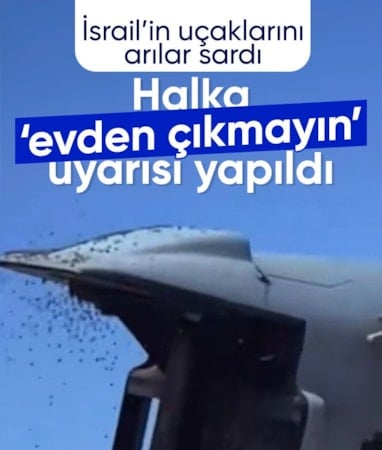 İsrail'de arı istilası uçakları durdurdu: Halka 'evinizden çıkmayın' uyarısı yapıldı