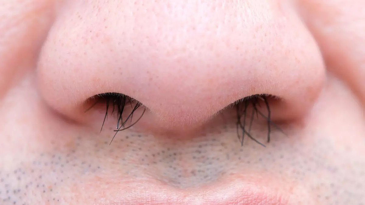 Burun kıllarınıza dokunmayın: Bugün ve yarın çok çalışacak...