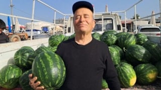 Antalya'da sezonun ilk erkenci karpuzu kilosu 40 liraya alıcı buldu