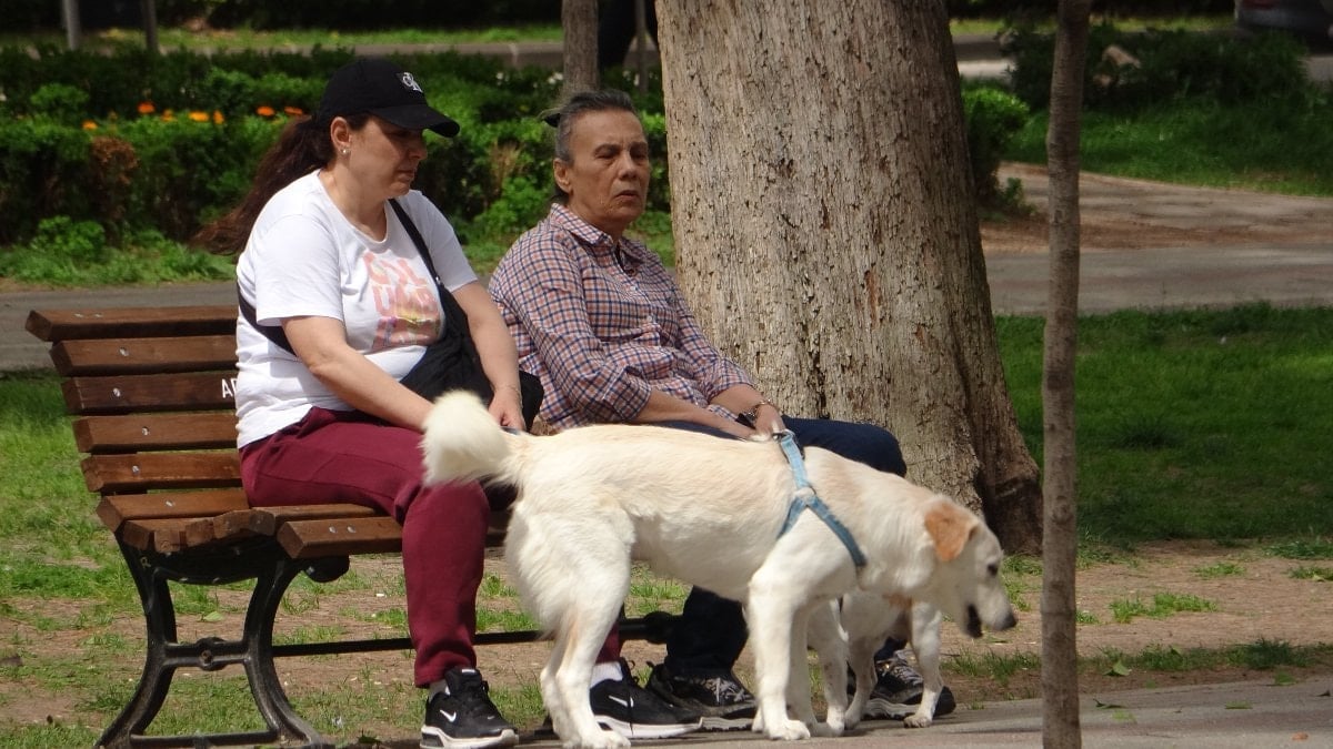 Adana'ya Nisan ayında yaz geldi: Vatandaşlar kendini dışarı attı