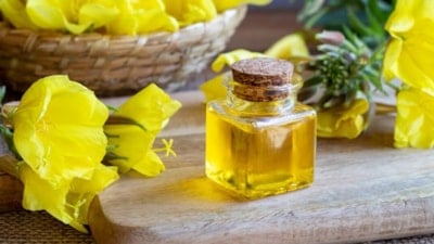 Doğanın altın reçetesi: Çuha çiçeği yağı hakkında bilmeniz gerekenler