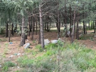 Hatay'da oğlu silahla öldürülen annenin cesedi toprağa gömülü bulundu