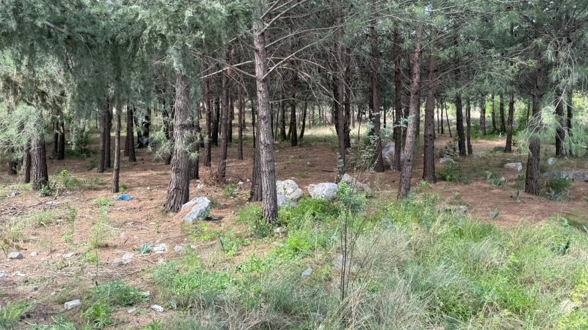 Hatay'da oğlu silahla öldürülen annenin cesedi toprağa gömülü bulundu