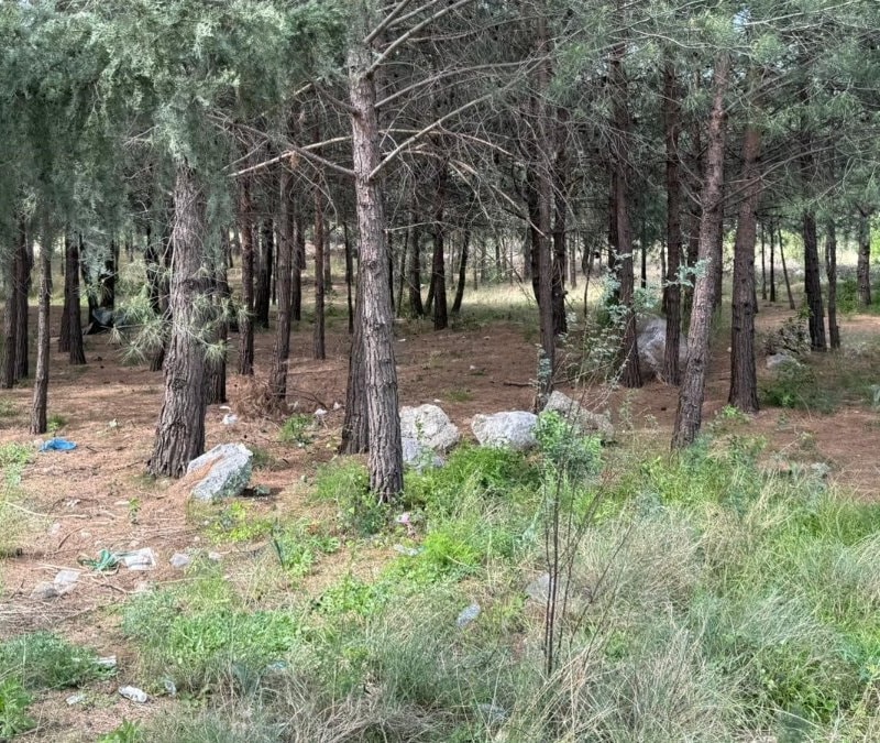 Hatay'da oğlu silahla öldürülen annenin cesedi toprağa gömülü bulundu