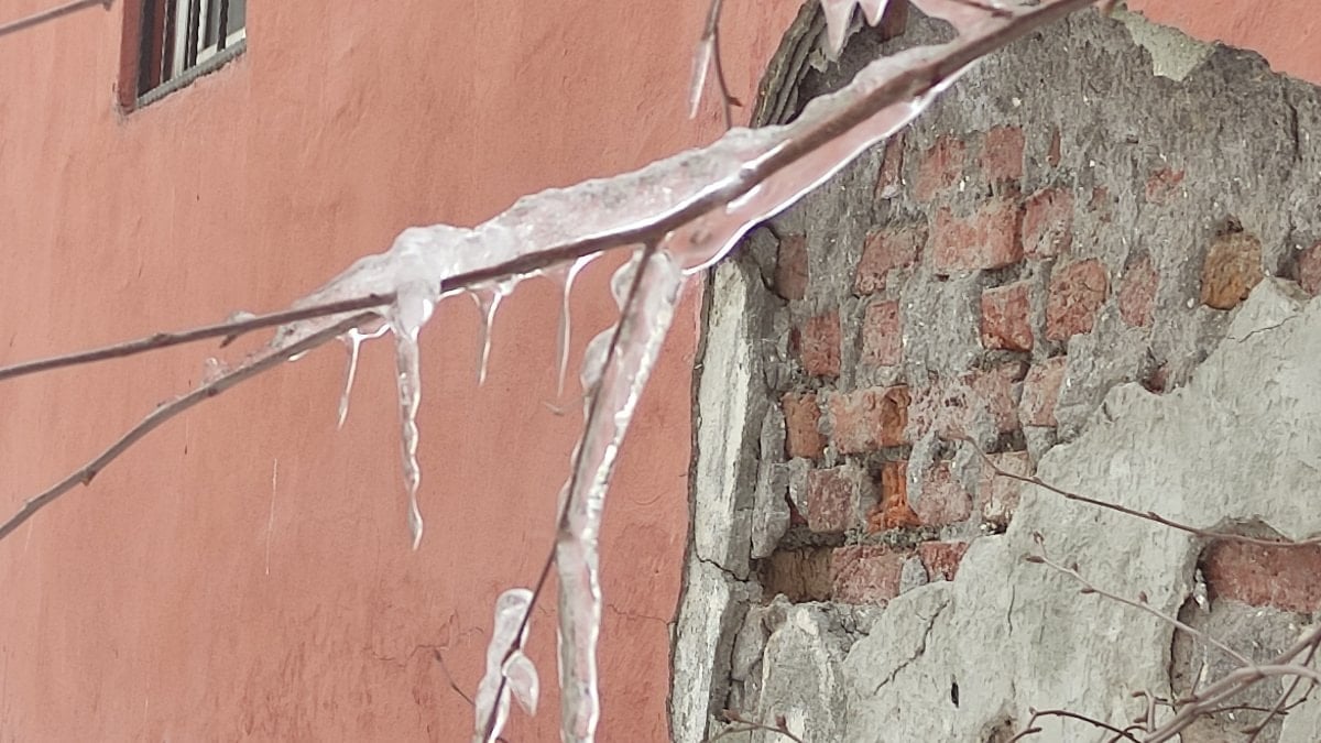 Ardahan’da dondurucu soğuklar: Ağaçlar buzla kaplandı