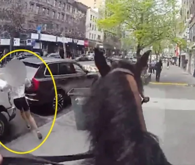 New York’ta film gibi takip: Atlı polis hırsızı kıskıvrak yakaladı
