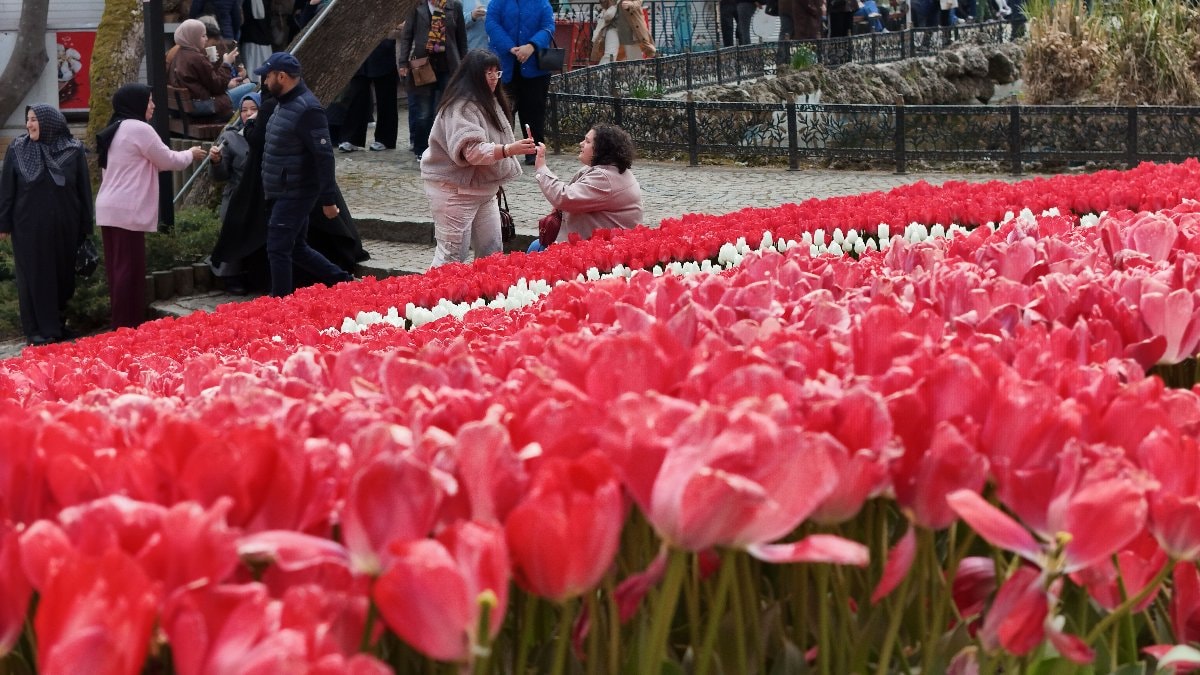 İstanbul'da lale dönemi başladı