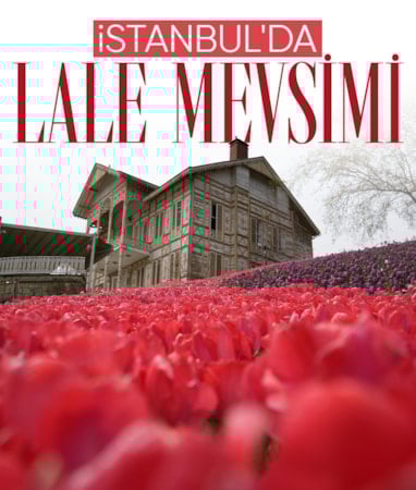 İstanbul'da lale dönemi başladı