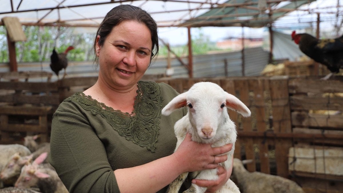 İzmir'de bir kuzuyla başlayan yolculuk, 165 hayvanlık çiftliğe ulaştı