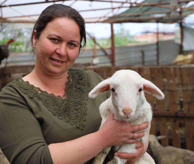 İzmir'de bir kuzuyla başlayan yolculuk, 165 hayvanlık çiftliğe ulaştı