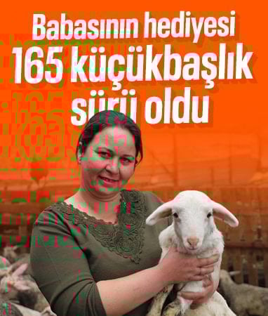 İzmir'de bir kuzuyla başlayan yolculuk, 165 hayvanlık çiftliğe ulaştı