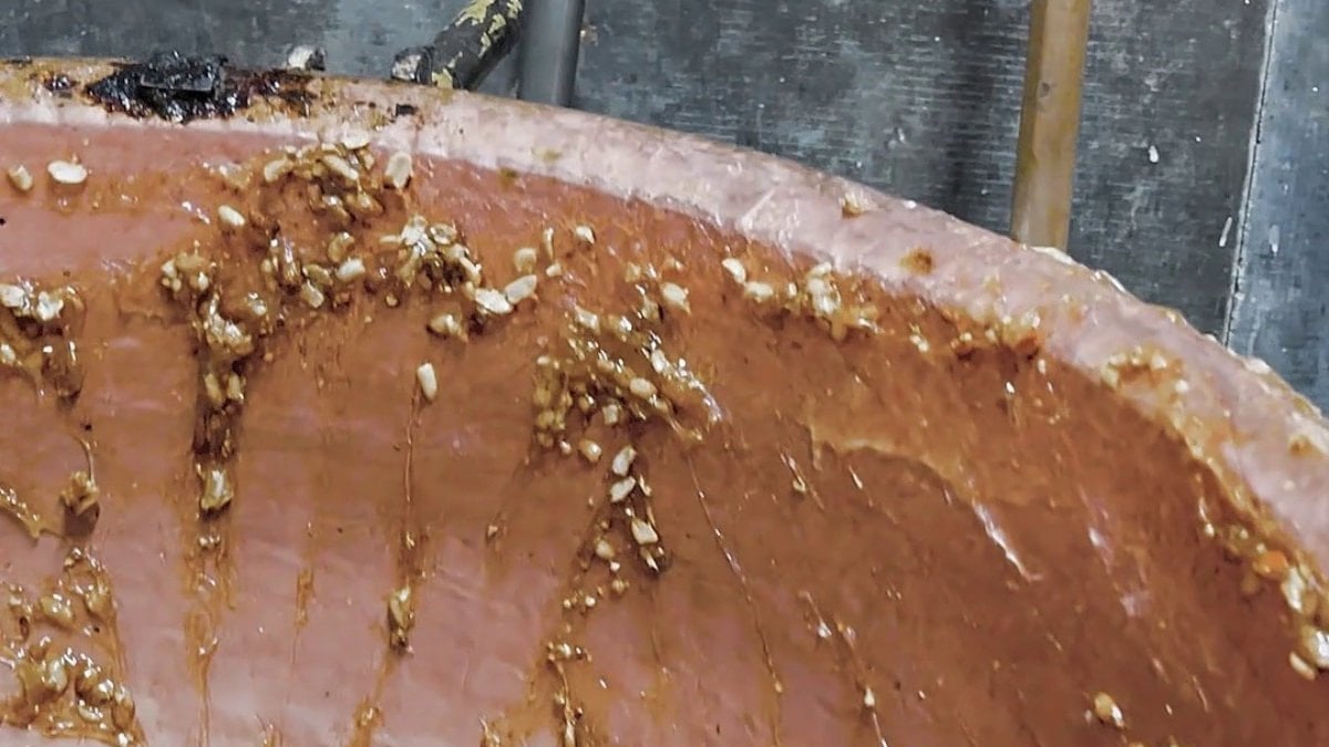 Hatay'dan mide bulandıran görüntüler