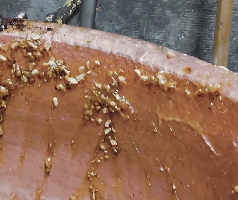 Hatay'dan mide bulandıran görüntüler