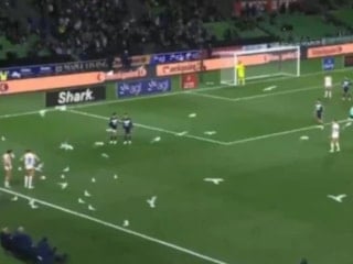 Avustralya Ligi’nde ilginç anlar: Sahayı martılar bastı