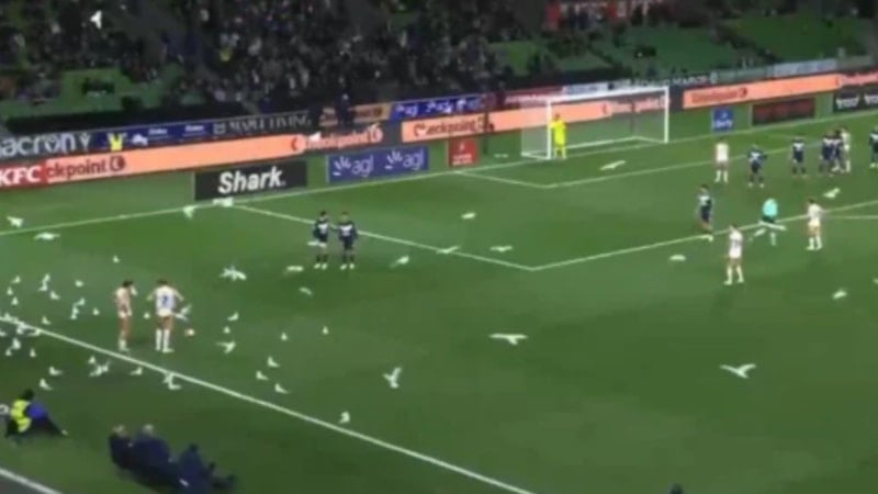 Avustralya Ligi’nde ilginç anlar: Sahayı martılar bastı