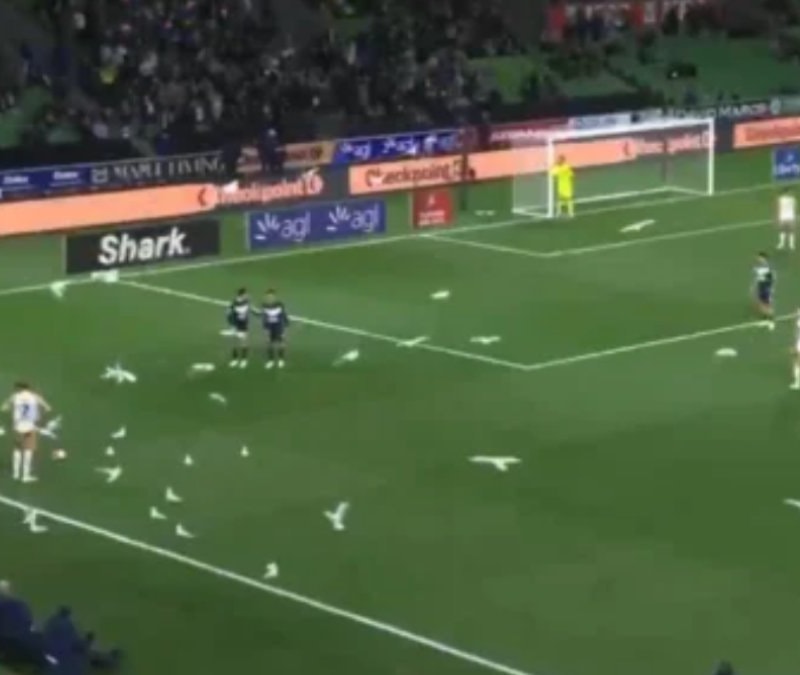 Avustralya Ligi’nde ilginç anlar: Sahayı martılar bastı