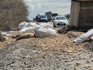 Kütahya'da devrilen tırda bulunan patatesler yola saçıldı