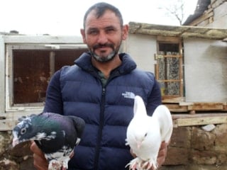 Kayseri'de güvercin sevgisini işe çevirdi