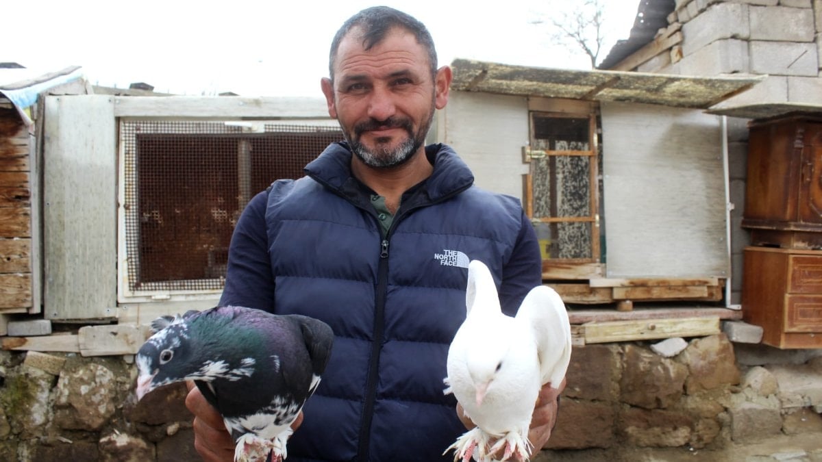 Kayseri'de güvercin sevgisini işe çevirdi