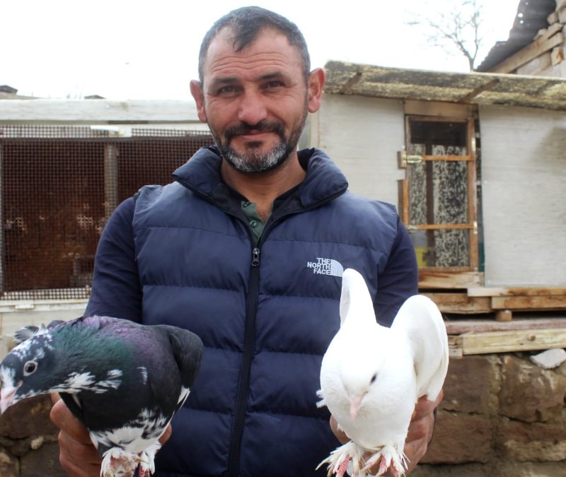 Kayseri'de güvercin sevgisini işe çevirdi