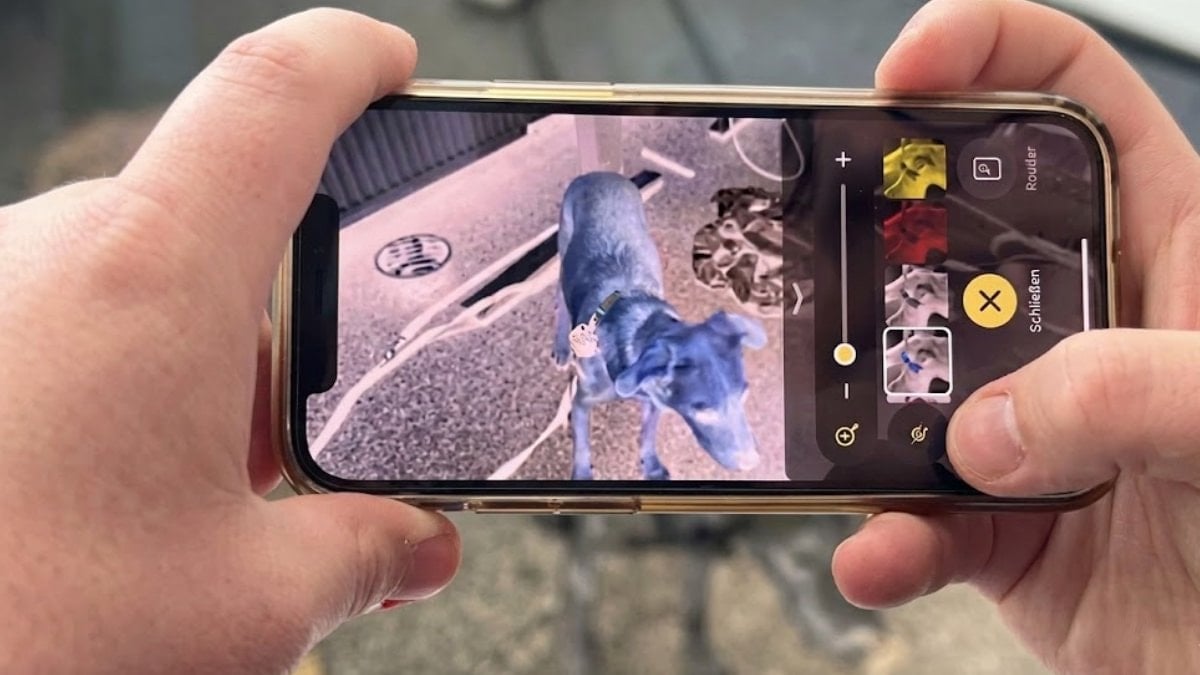 Keneyi saniyeler içinde fark ediyor: Telefonunuzu bu moda alın