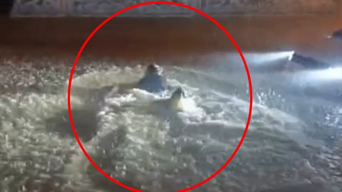 Sağanak Midyat’ı göle çevirdi: Sokakta yüzdü