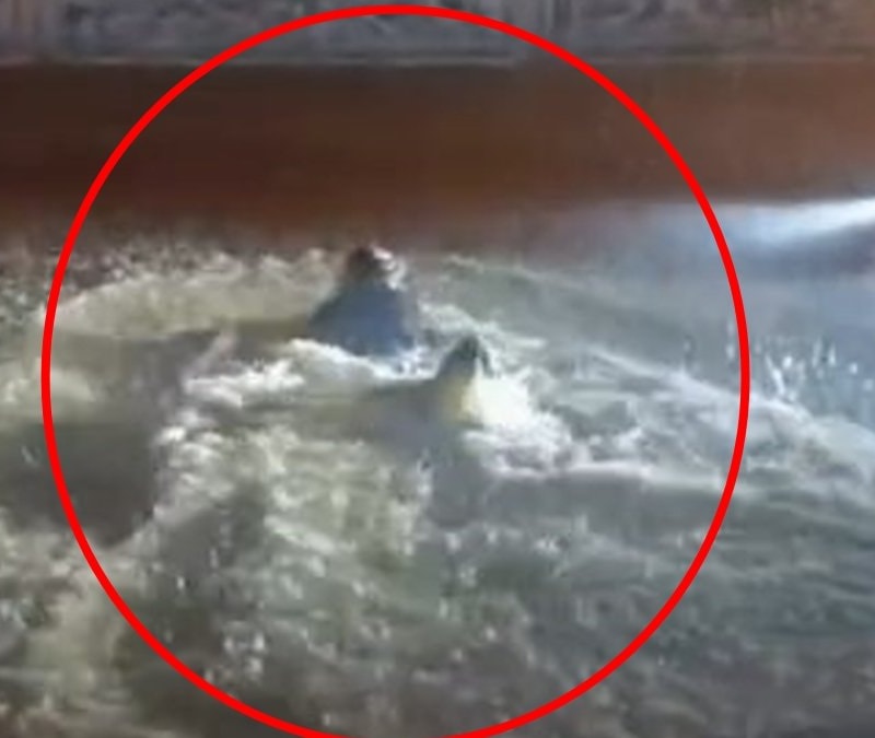 Sağanak Midyat’ı göle çevirdi: Sokakta yüzdü