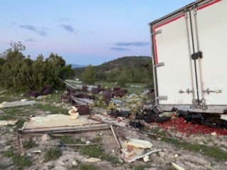 Mersin'de freni boşalan sebze yüklü TIR ağaca çarparak durabildi