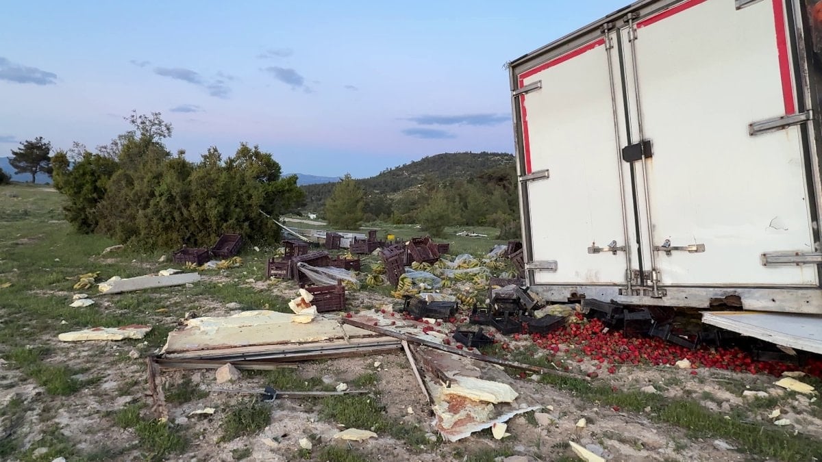 Mersin'de freni boşalan sebze yüklü TIR ağaca çarparak durabildi