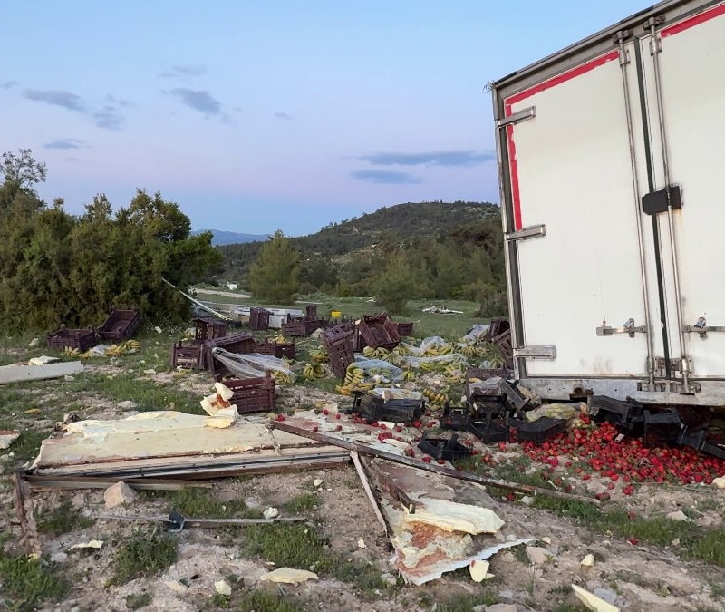 Mersin'de freni boşalan sebze yüklü TIR ağaca çarparak durabildi