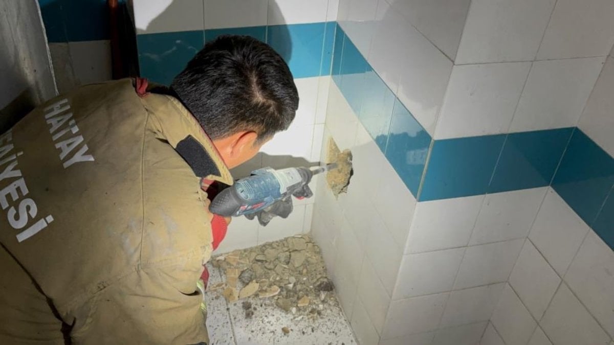 Hatay’da bacaya düşen yavru kedi duvar kırılarak kurtarıldı