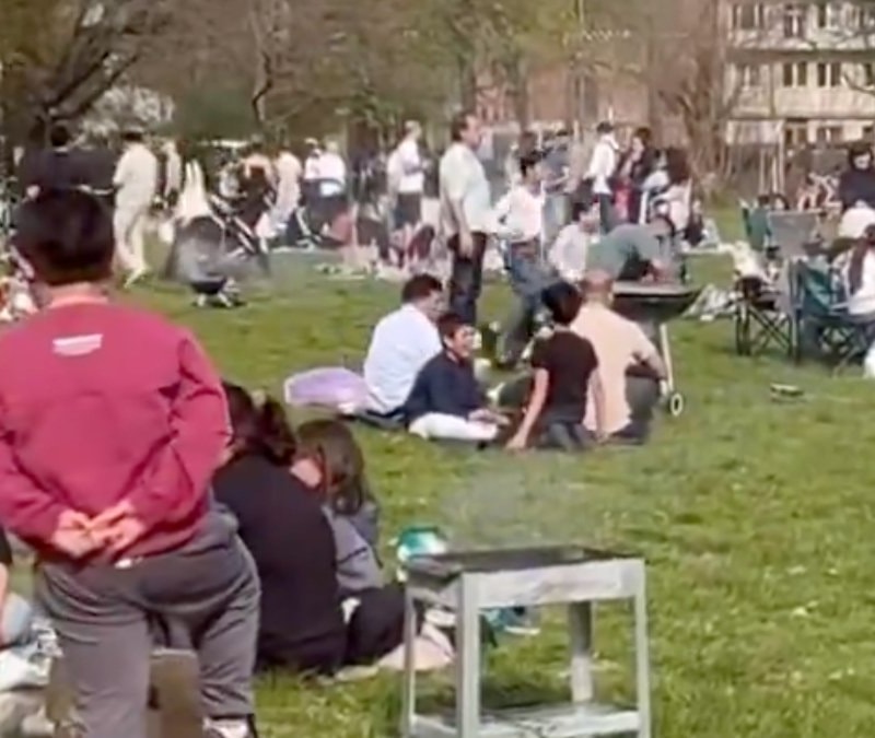 Almanya'nın parklarında mangal manzaraları: Göçmen nüfusu zirveye çıktı