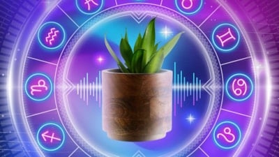 Muud, bitkilerin titreşimlerini müziğe dönüştürdü: 12 burca 12 şarkı