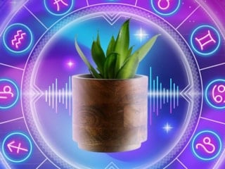 Muud, bitkilerin titreşimlerini müziğe dönüştürdü: 12 burca 12 şarkı
