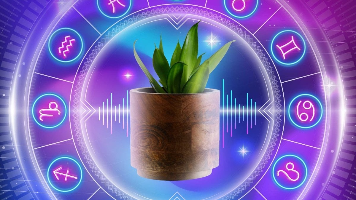 Muud, bitkilerin titreşimlerini müziğe dönüştürdü: 12 burca 12 şarkı