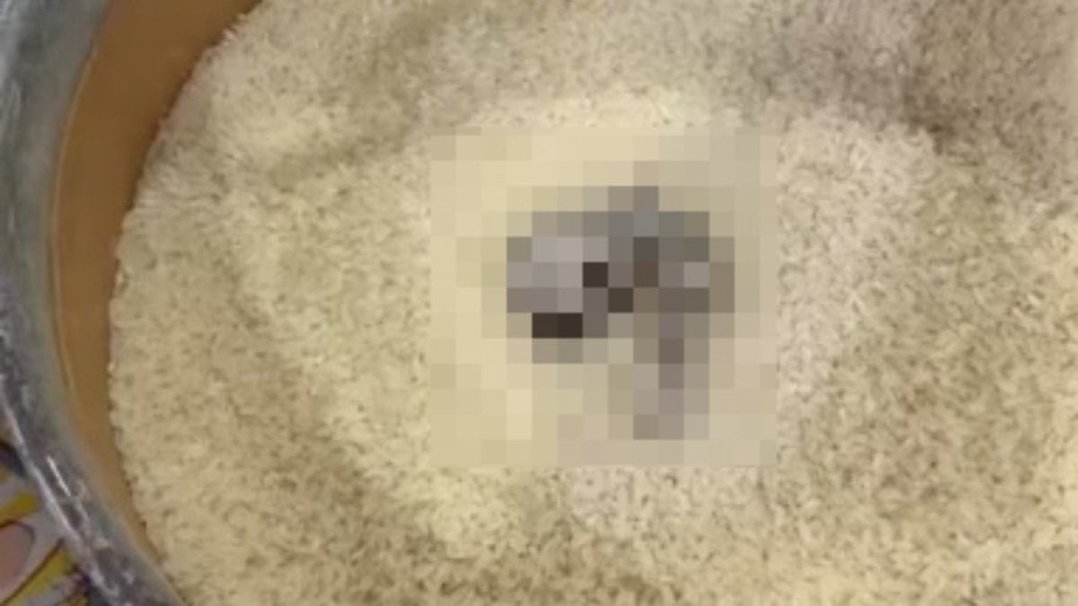 Mersin'de açıkta satılan pirinçte kedi dışkısı tespit edildi: Markete ceza yağdı