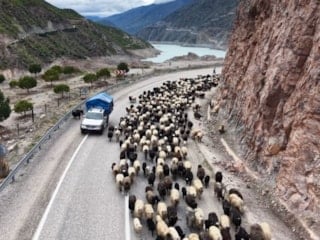 Artvin'de yayla yolundan göçler başladı