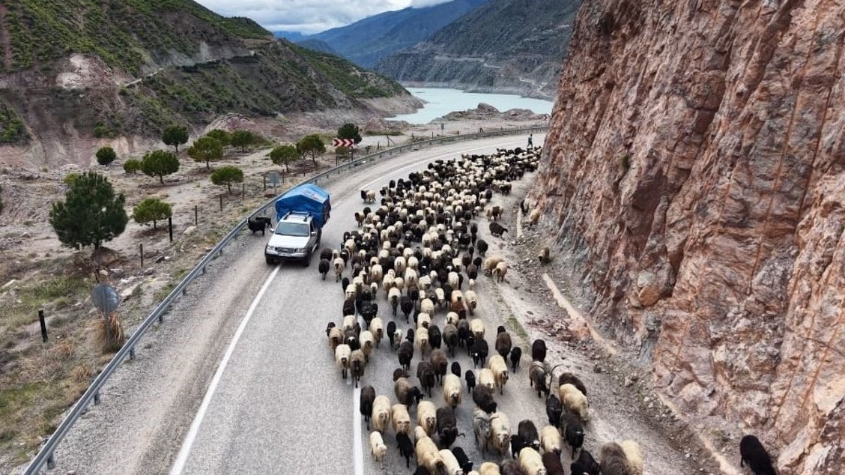 Artvin'de yayla yolundan göçler başladı