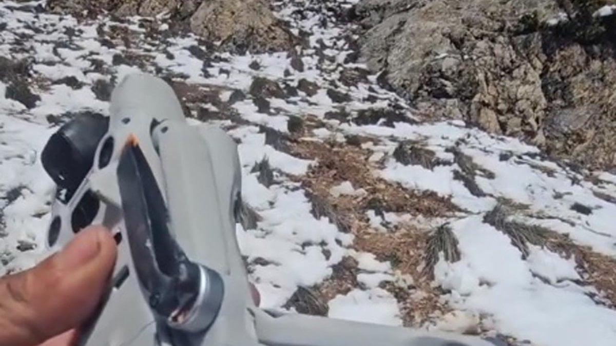 Erzincan’da ilginç olay: Kartal drone'u kapıp havalandı